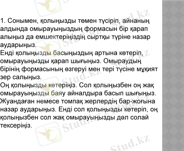 Slide 11