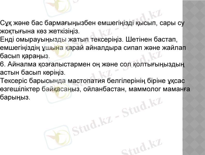 Slide 12