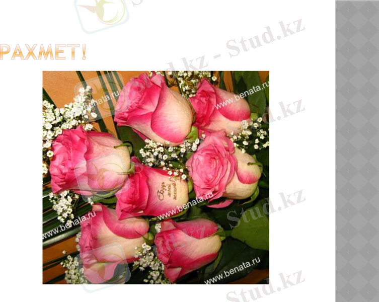 Slide 13