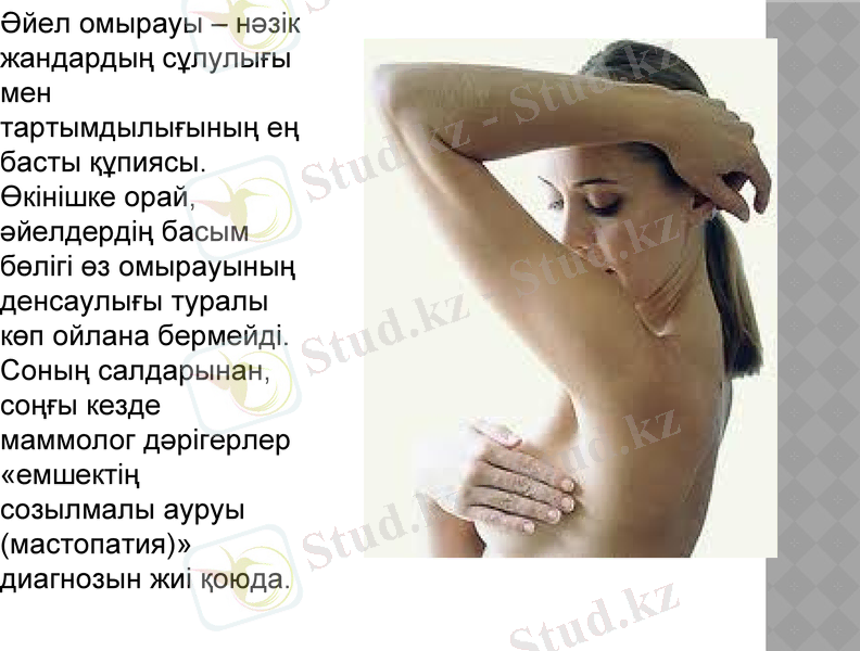 Slide 3
