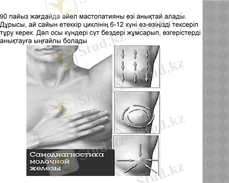 Slide 7