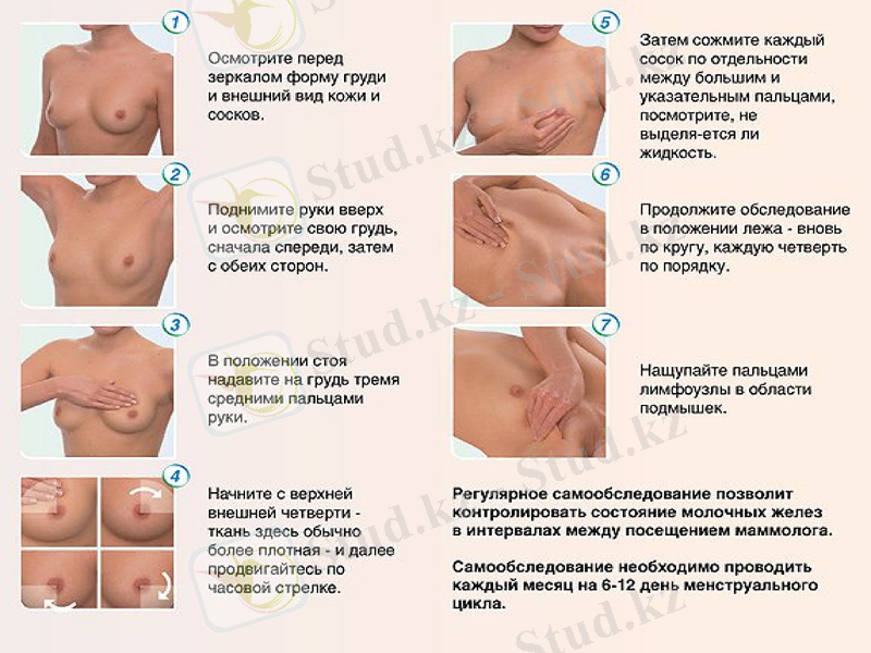Slide 8