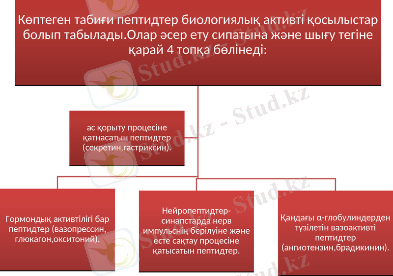 Slide 12