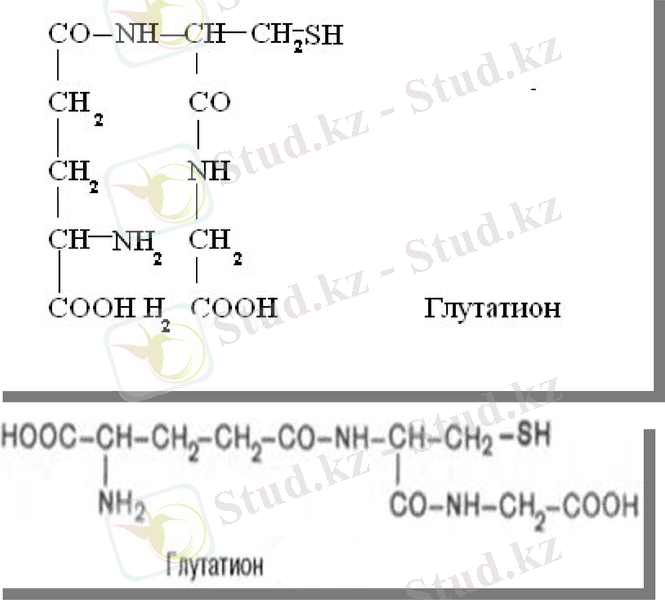 Slide 15