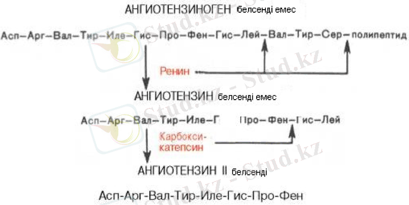 Slide 16