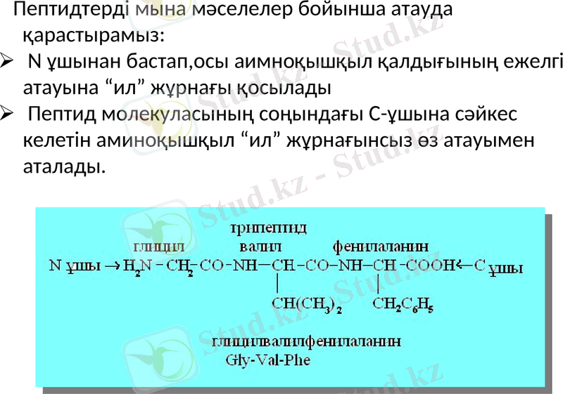 Slide 7