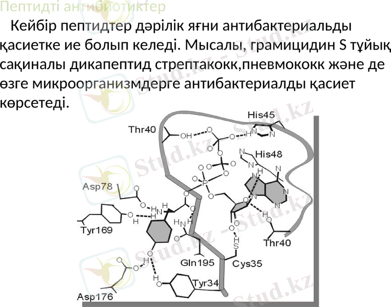 Slide 9