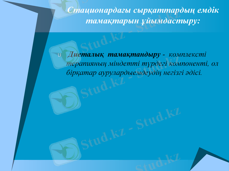 Slide 10