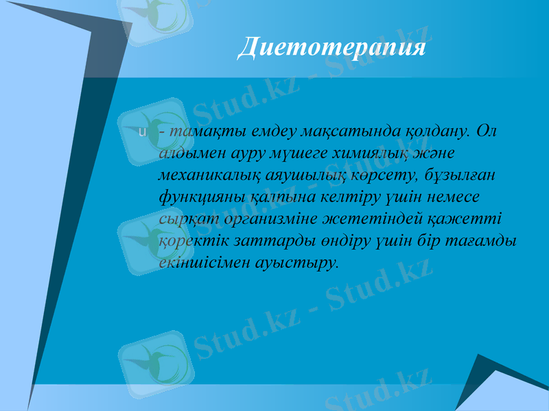Slide 11