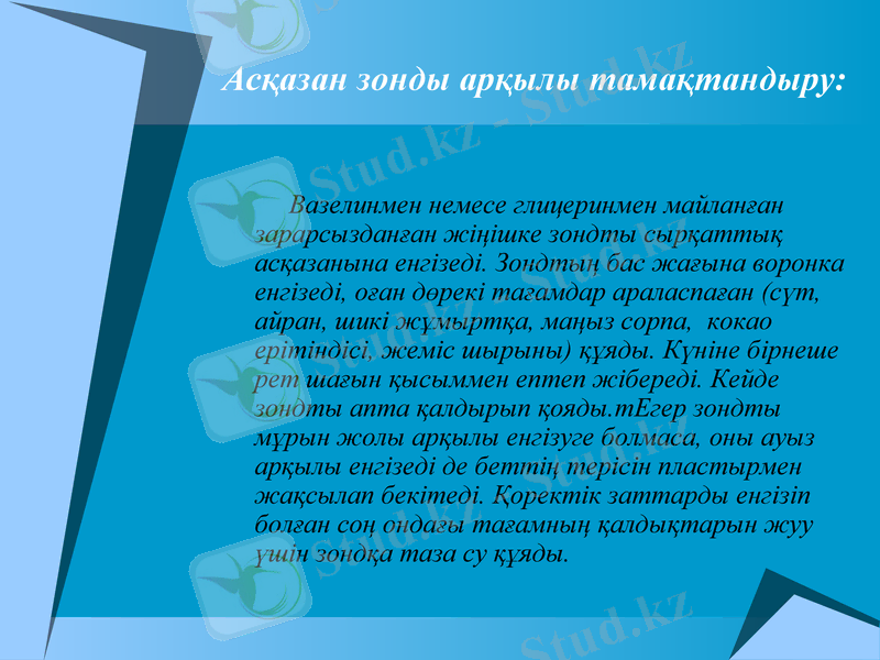 Slide 15