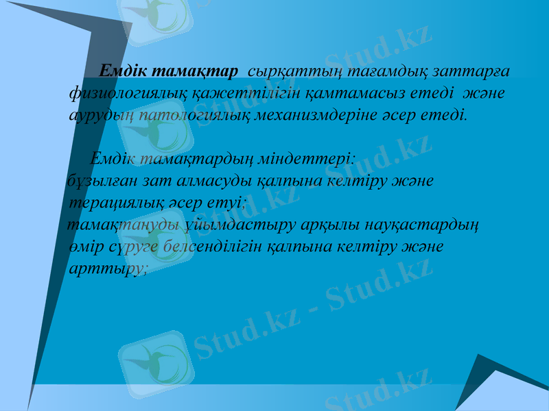Slide 6