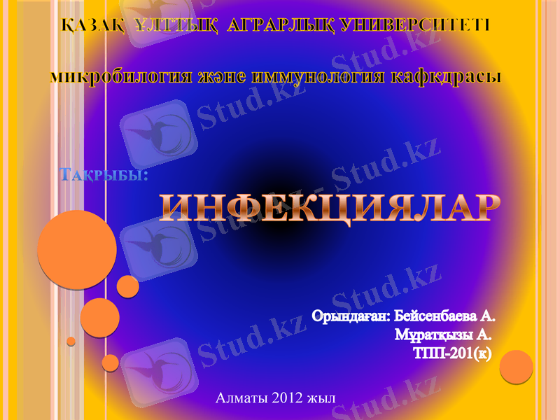 Slide 1