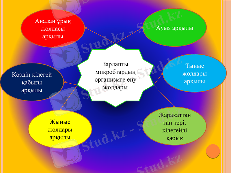 Slide 10