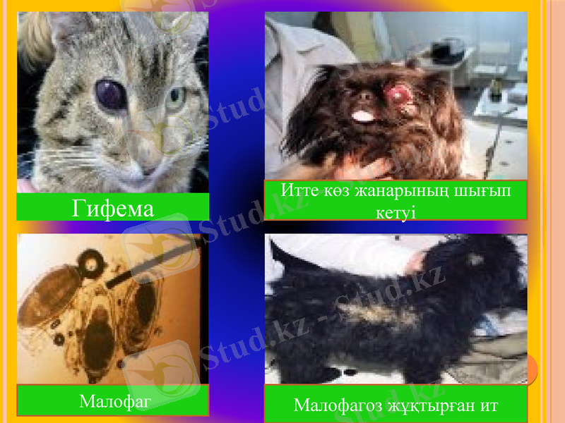 Slide 13