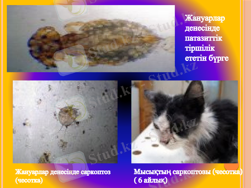 Slide 14