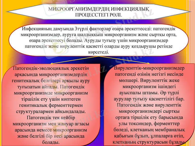 Slide 8