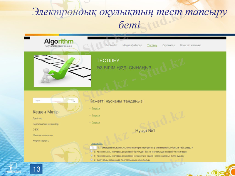 Slide 13