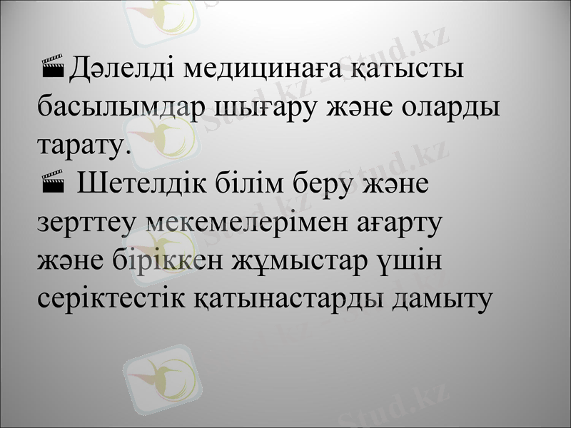 Slide 13