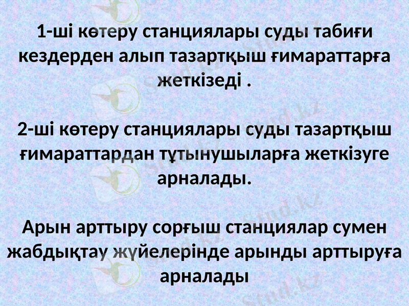 Slide 11