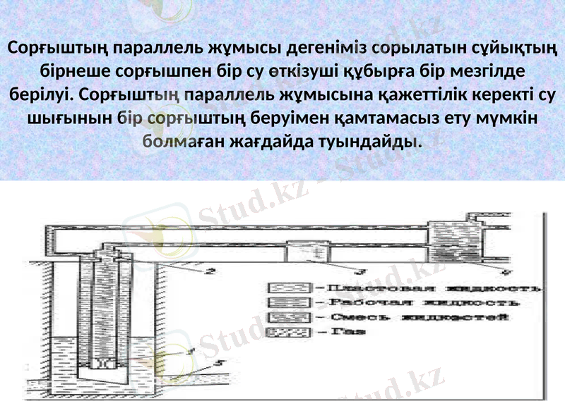 Slide 8