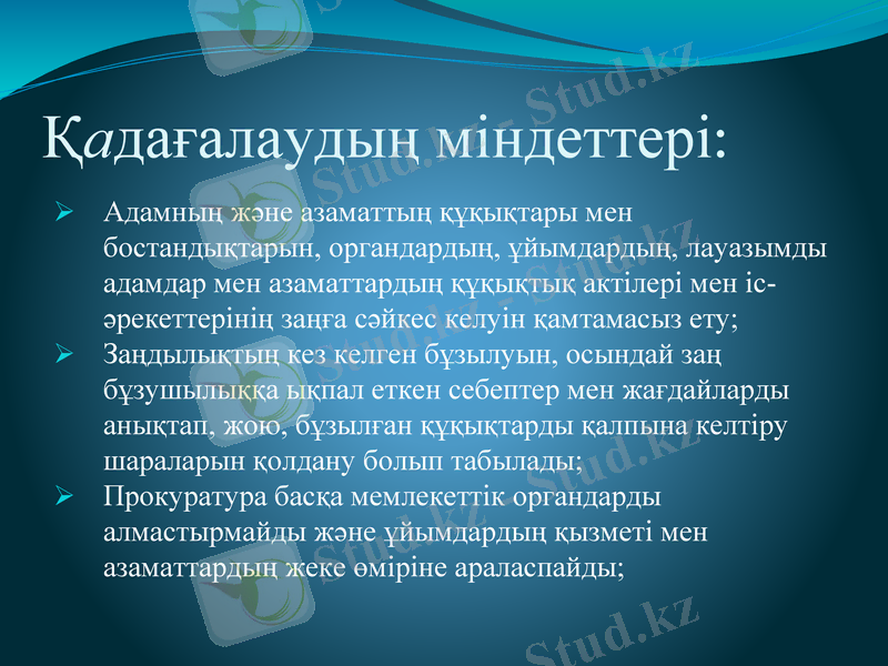 Slide 11