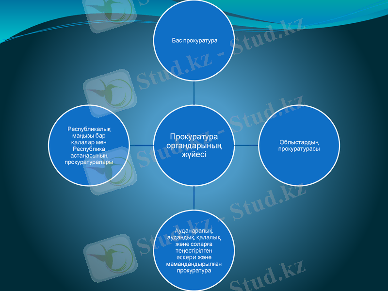 Slide 7