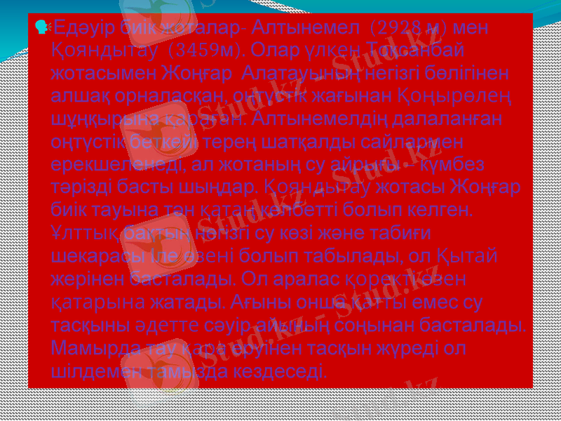 Slide 5