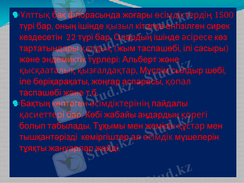 Slide 6