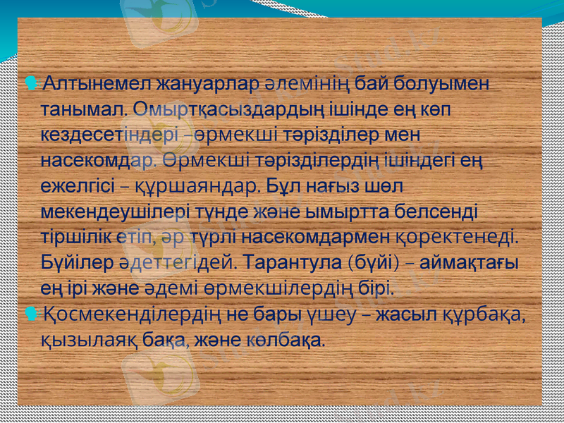 Slide 7