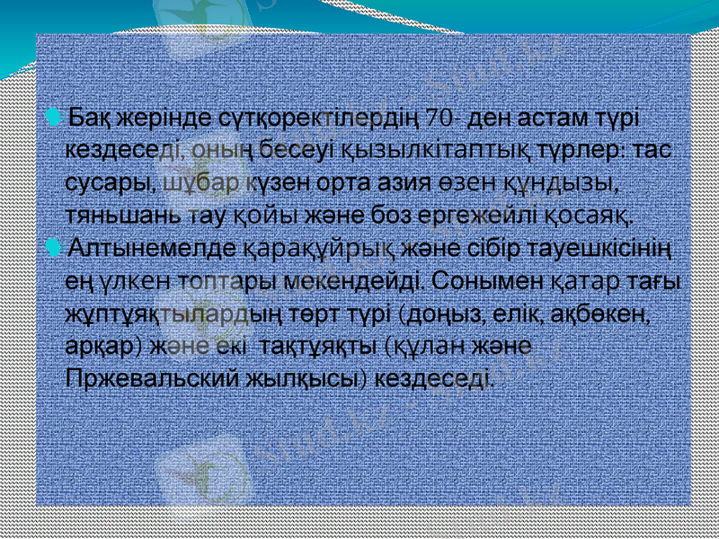 Slide 8