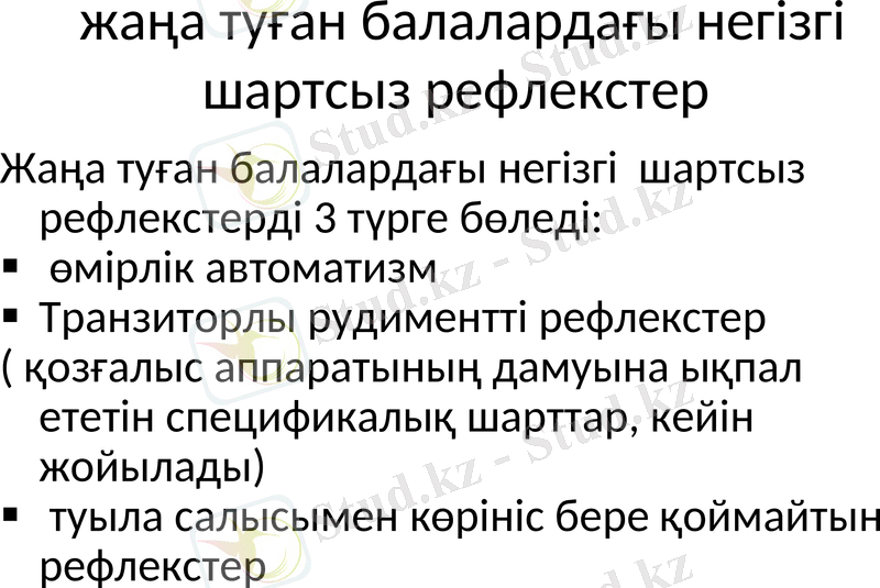 Slide 7