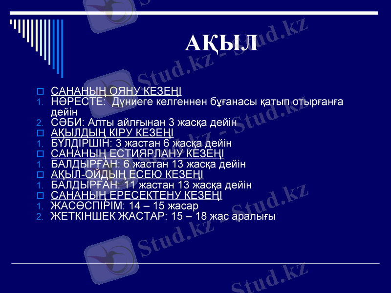 Slide 11