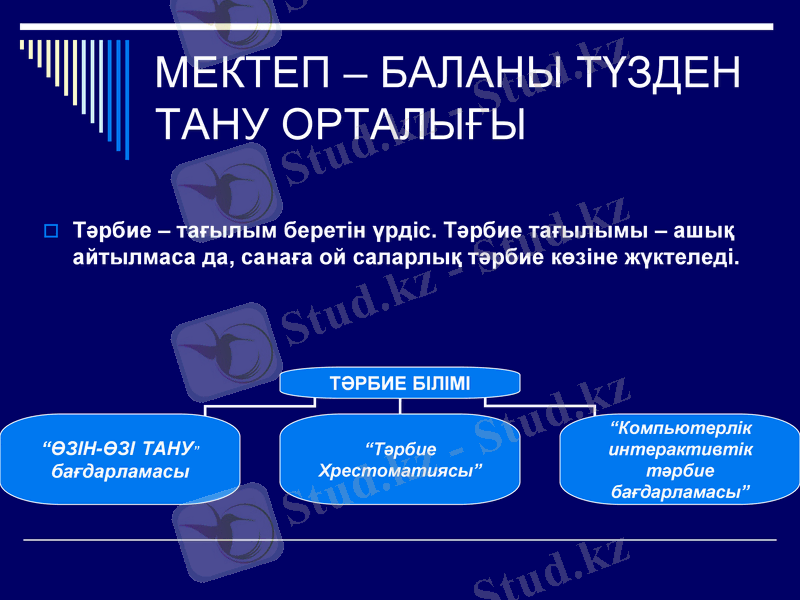 Slide 6