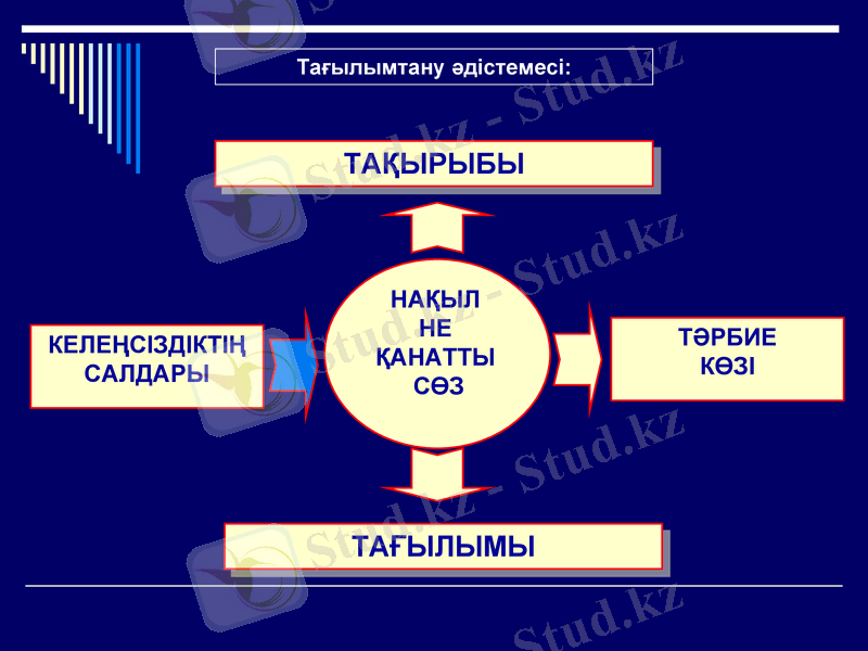 Slide 8