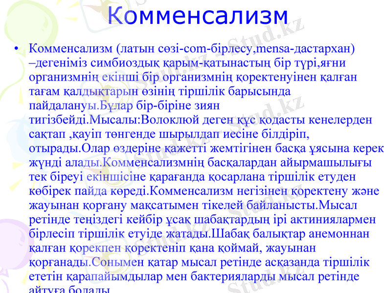Slide 11