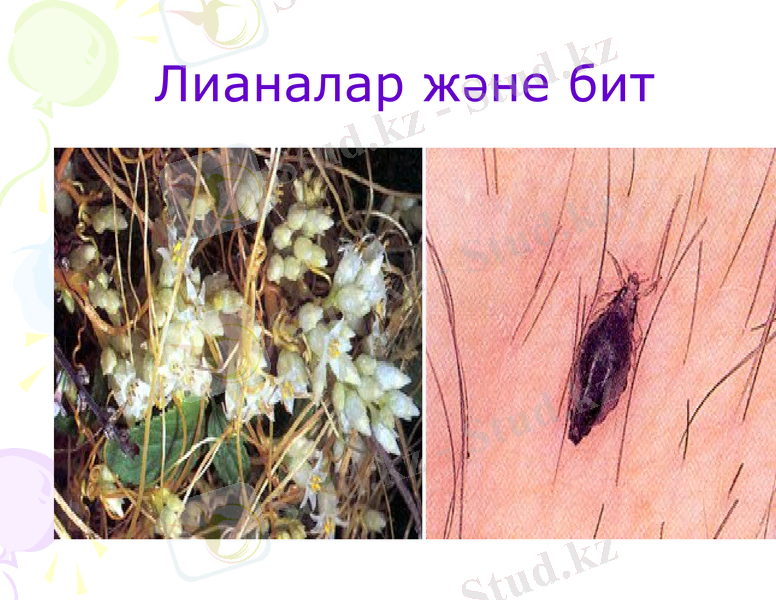 Slide 14