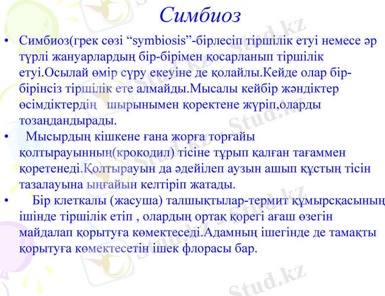 Slide 9