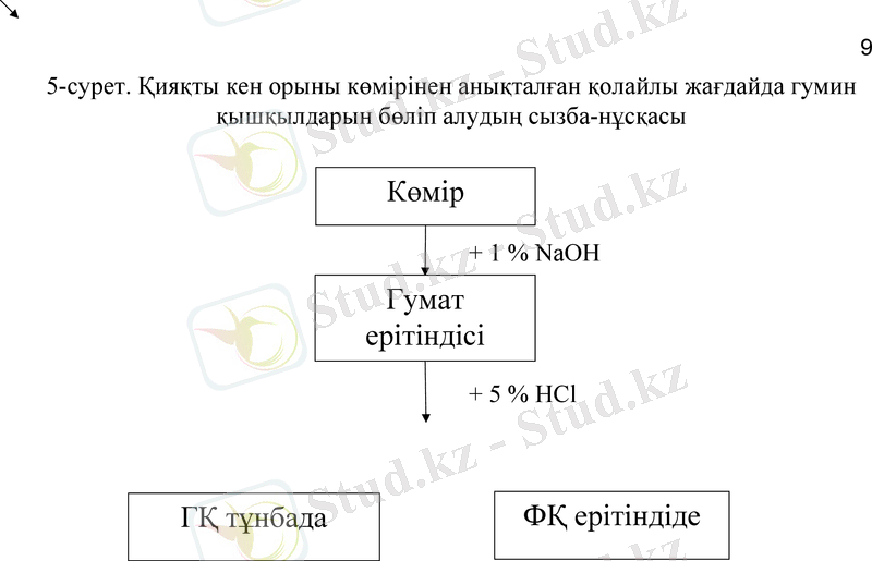 Slide 9