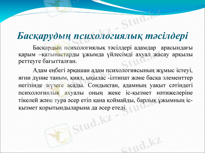 Slide 5