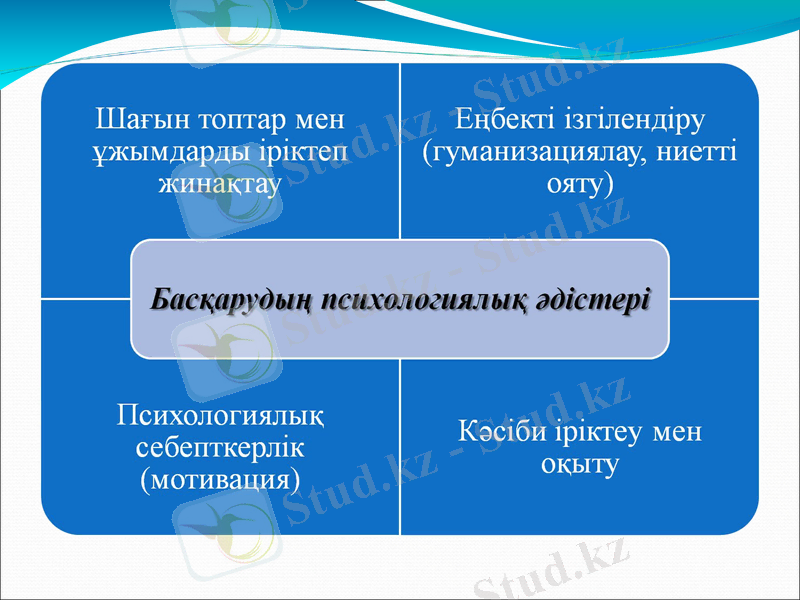 Slide 7