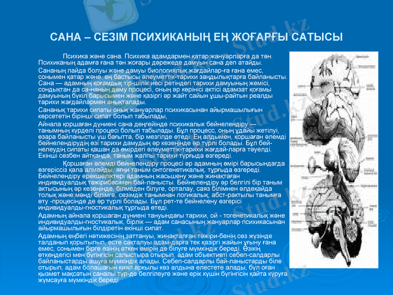 Slide 7