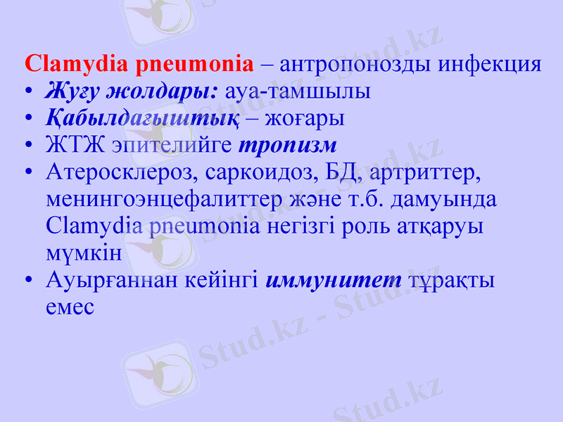 Slide 10