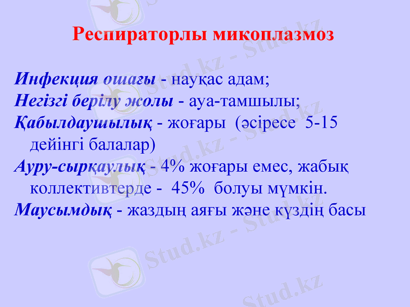 Slide 11