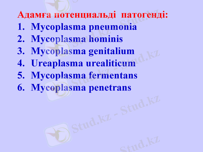 Slide 12