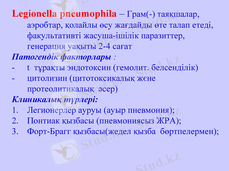 Slide 13