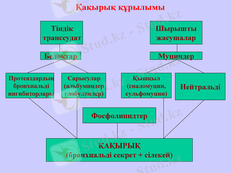 Slide 16