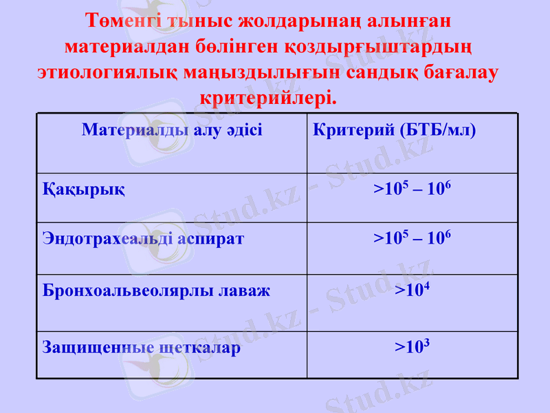 Slide 24