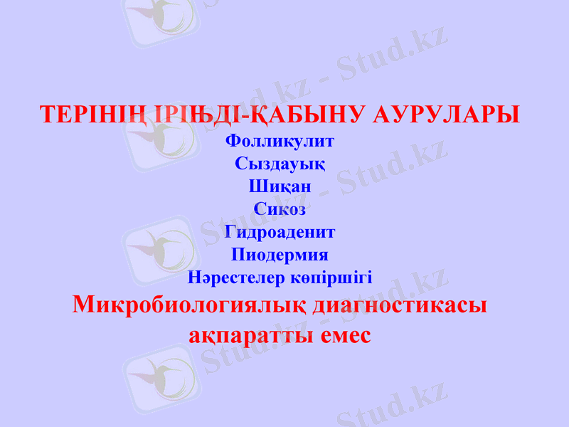 Slide 30