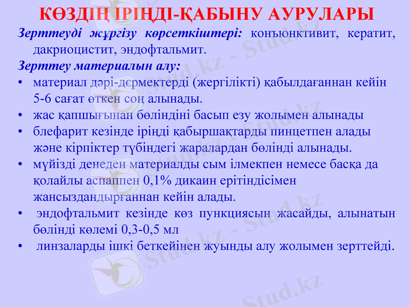 Slide 31