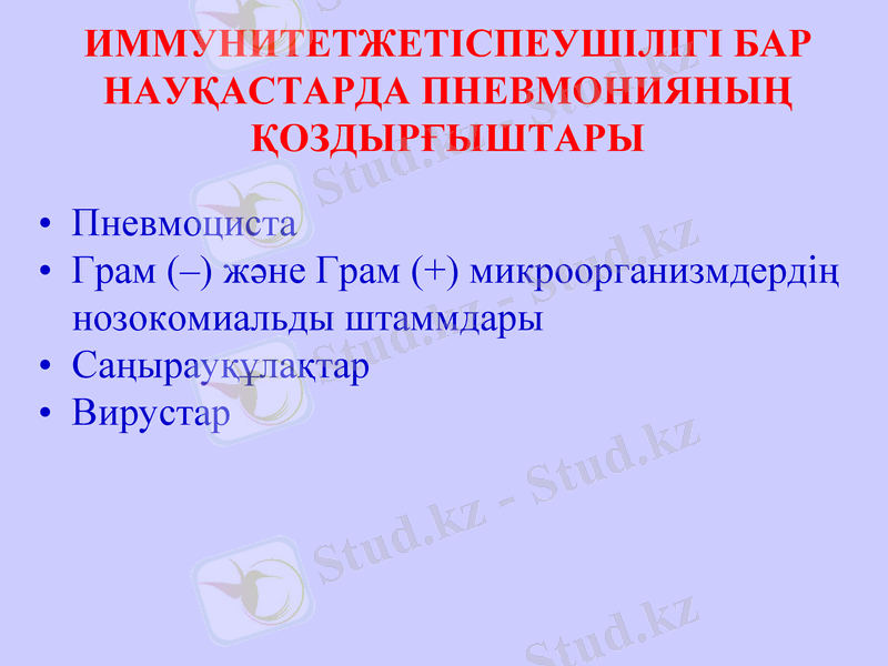 Slide 7